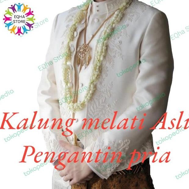 kalung melati pengantin pria jasmine asli harum
