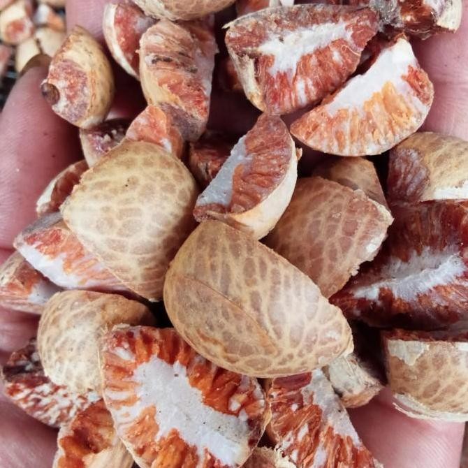 

buah pinang kering 500grm