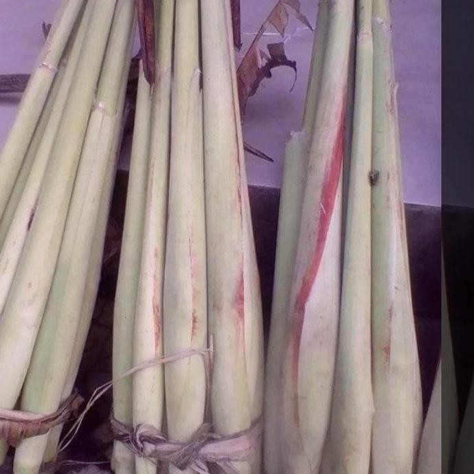 

trubuk/trubus sayur 1kg