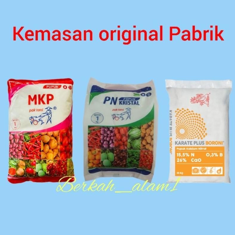 PAKET HEMAT PUPUK ANGGUR MKP KNO3 PUTIH BORONI 3 KG
