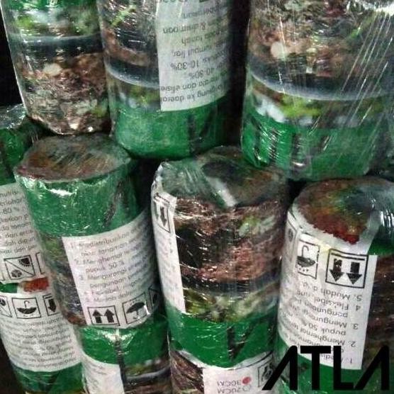 promo drip tape irigasi tetes 30cm diameter 16mm selang pita taman