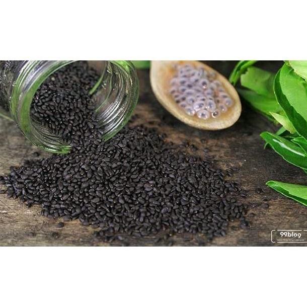

Buruan beli] Biji Selasih Ukuran 50gr (repack)