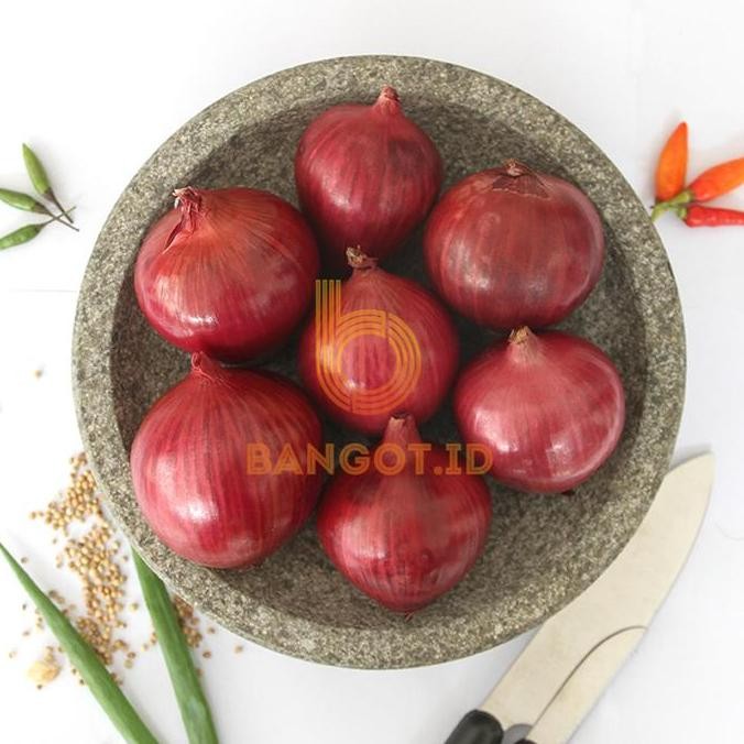 

Bawang Bombay Merah / ungu HM