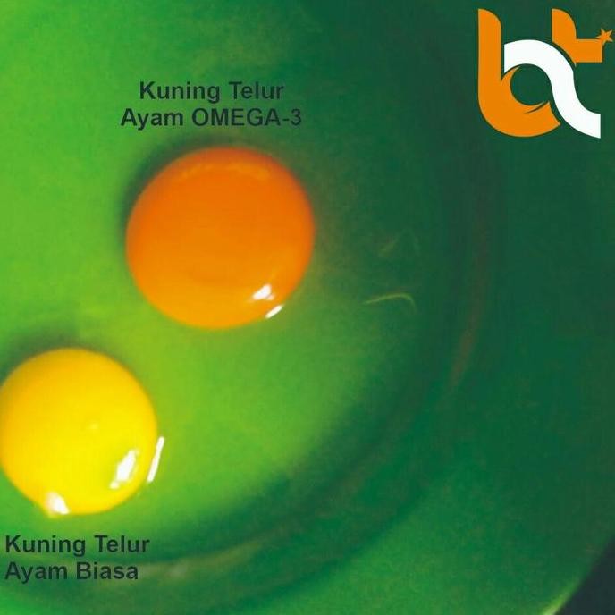 Produk Baru!! Telur Ayam Omega Isi 30 Butir - Tray Telor Ayam Sehat