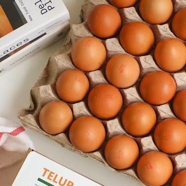 

Produk Baru!! Telur Ayam Negeri Omega 3 Premium per Kg - Telor Sehat Berkualitas