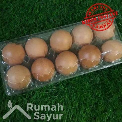 

Produk Baru!! Telur Ayam Negeri Rumah Sayur 1 Pack Isi 10 Butir - Telur Fresh