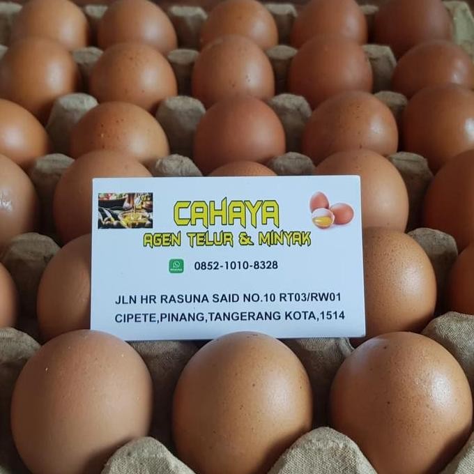 

Produk Baru!! Telur Ayam Negeri 1kg - Telur Coklat Segar Harga Terbaik