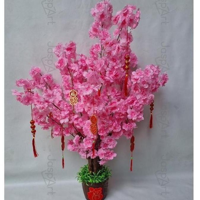 *****] POHON SAKURA JEPANG MEI HUA SIZE BESAR POHON SAKURA MEI HUA PREMIUM 1 METER POHON IMLEK BUNGA