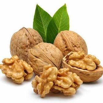 

Kacang Kenari Organik / Natural And Organic Walnut 500 Gram #Gratisongkir