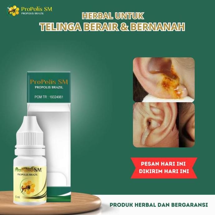 Asli Propolis SM Tetes Telinga Herbal Anak & Dewasa - Congek, Bernanah, Bau Busuk, Infeksi, Gatal