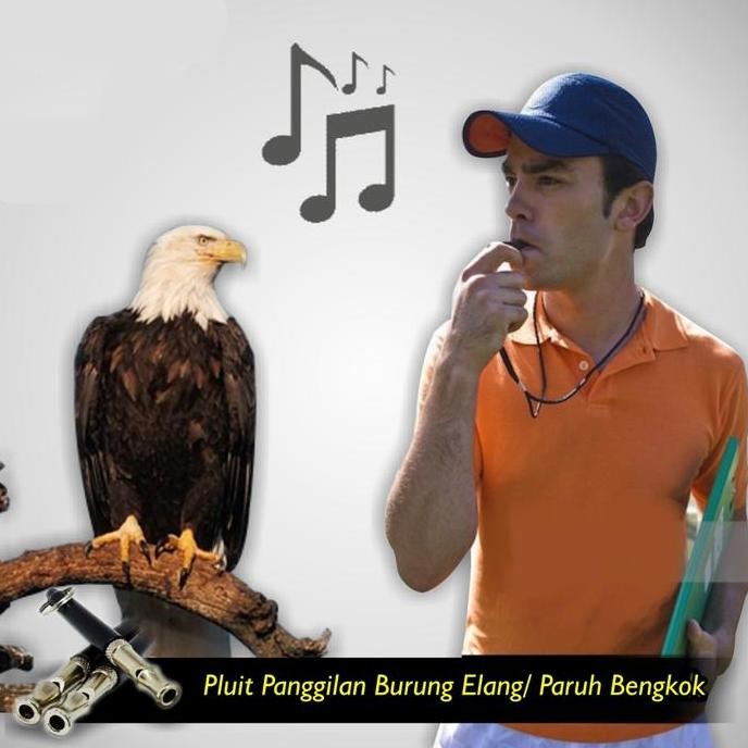 ready Peluit ultrasonic latih burung parrot elang FF dan anjing