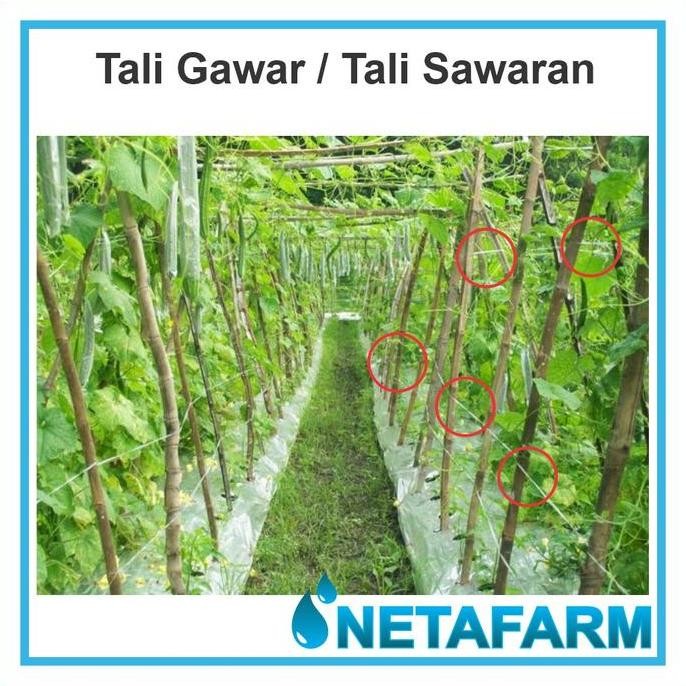 

[Expert] Tali Gawar / Tali Salaran Untuk Tanaman Pertanian ( Per 1 Roll )