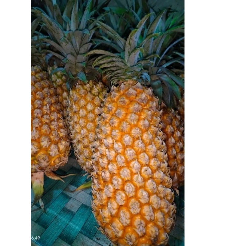 

[]COD[] __ Nanas madu kelud kualitas super grade A Jumbo berat 1 kg lebih (cocok untuk selai nastar asam manis)