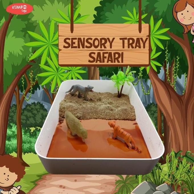Sensory Tray Sensory Play