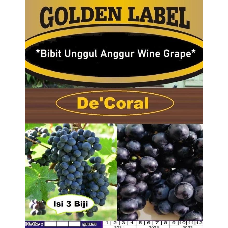 Bibit Anggur Wine Grape|Benih Anggur Wine Grape|Bibit Anggur Hitam