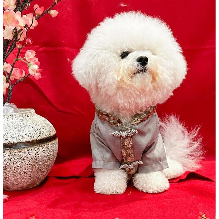 Baju Anjing Cheongsam Imlek Jantan Grey Premium