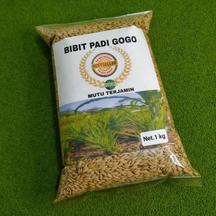 Ready Bibit padi gogo unggul 1 kg