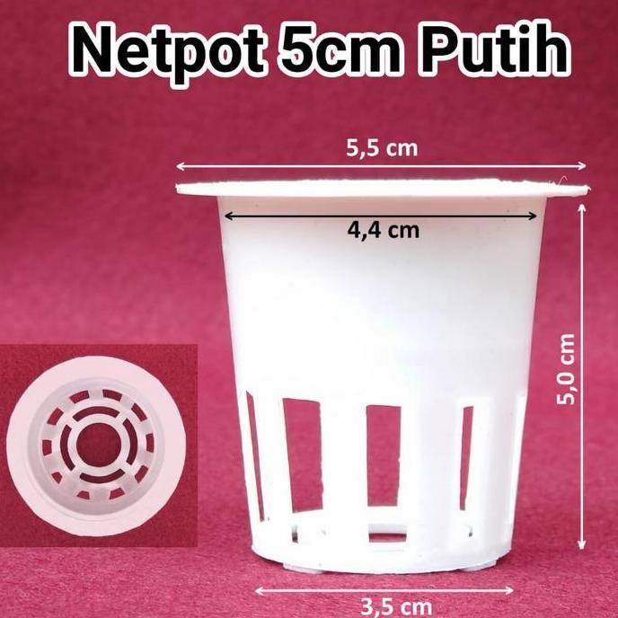 Ready Grosir netpot 5 cm putih 100 pcs