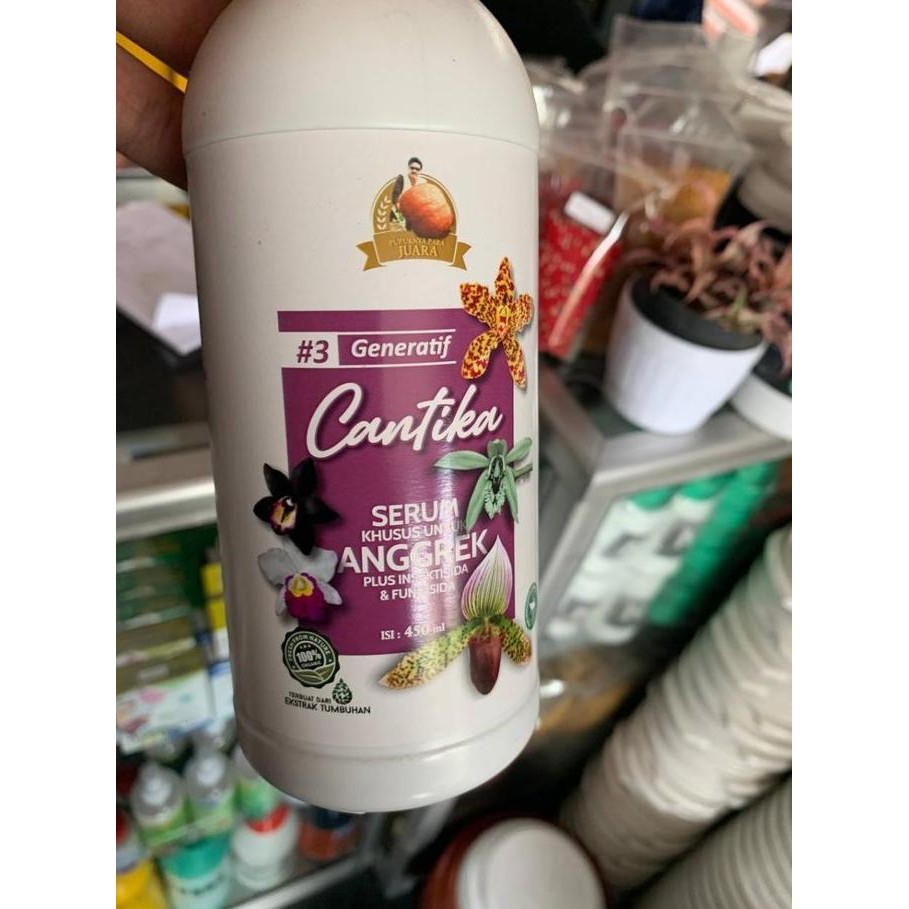 Ready Serum khusus anggrek plus insektisida CANTIKA pupuk tanaman