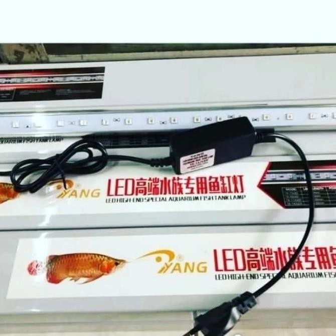 Lampu tanning arwana louhan LED T8 aquarium Amara 60 cm 80 cm 100 cm