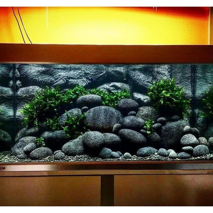 AL Batu Coral Lava Hitam Untuk Hiasan Krikil Aquarium Aquascape Ikan Koki Kolam Koi Media Dekorasi T