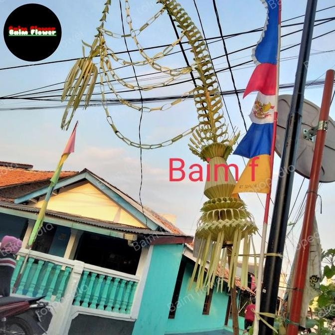 janur kuning pernikahan jumbo