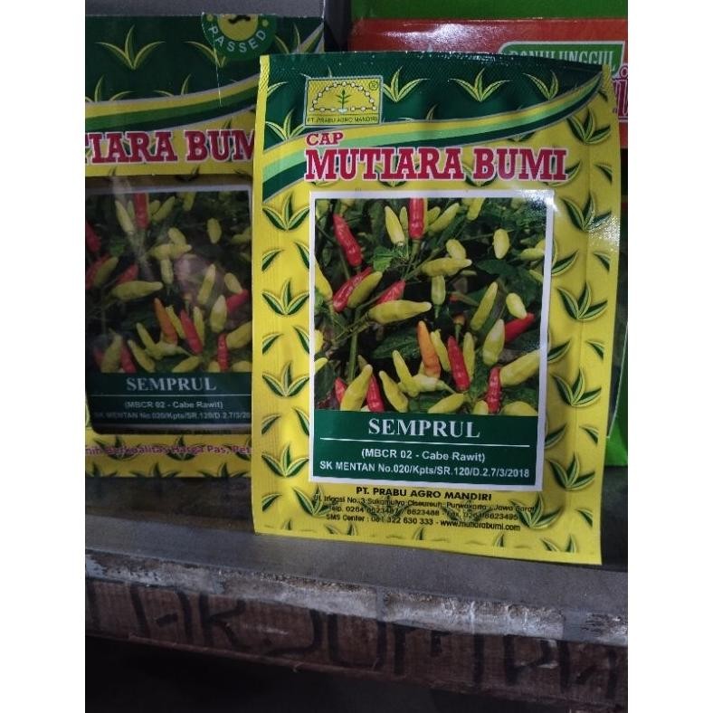 Benih Cabe Rawit SEMPRUL 10 gr|SEMPRUL 10gr|benih cabe rawit|Cap mutiara bumi|Benih cabai SEMPRUL 10