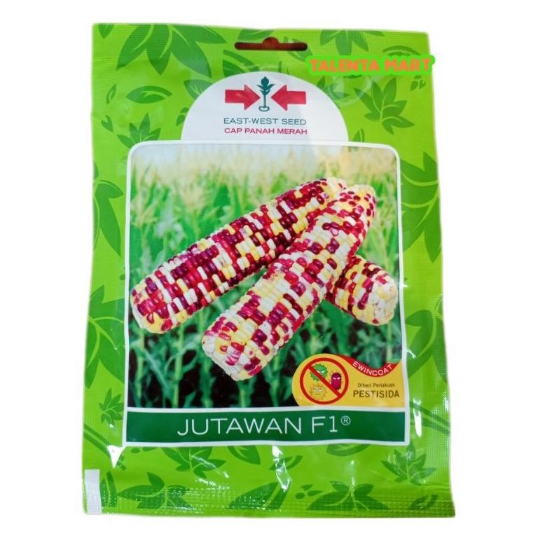 200 BUTIR BENIH JAGUNG KETAN PELANGI JUTAWAN F1 Nugi