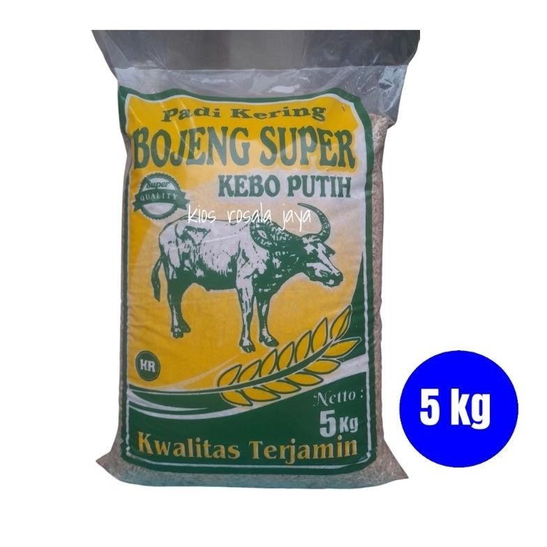 Benih Padi Unggul KEBO PUTIH kemasan 5 kg Nugi