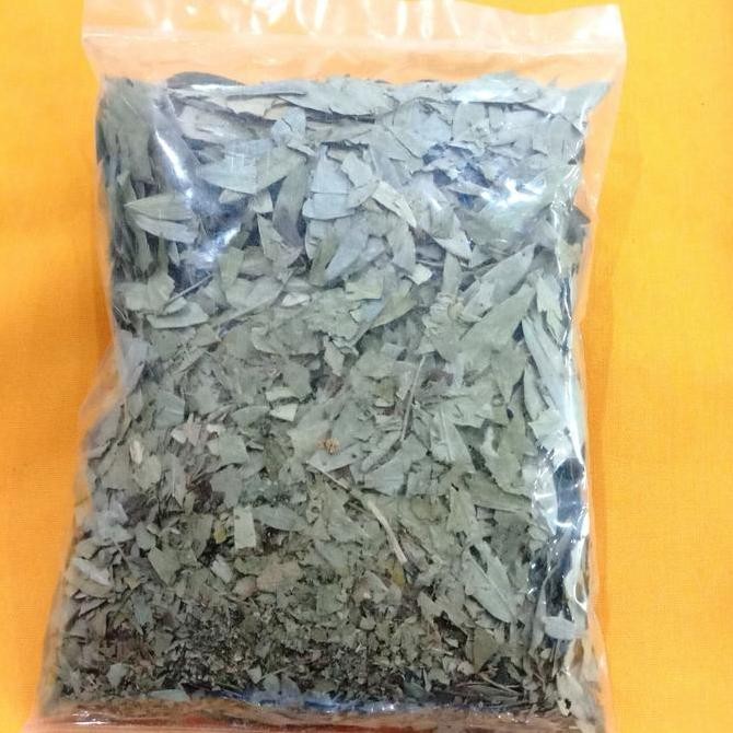 

Produk Unggulan] Daun jati cina/daun sena 50gr
