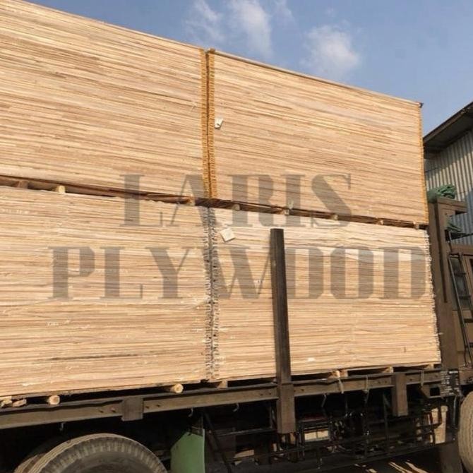 Triplek Mc 12Mm (Meranti Campur) / Multiplek Mc 12Mm Kualitas Premium