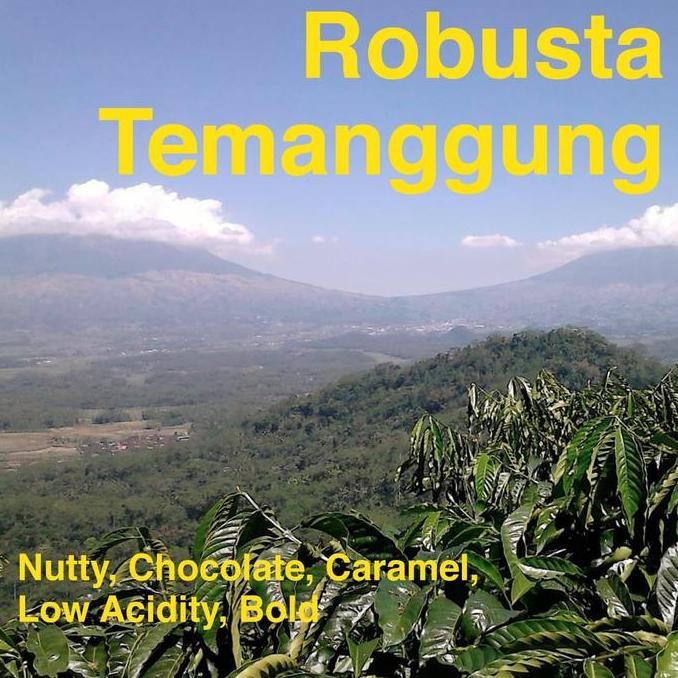 

Kopi Robusta Temanggung 5Kg 5 Kg
