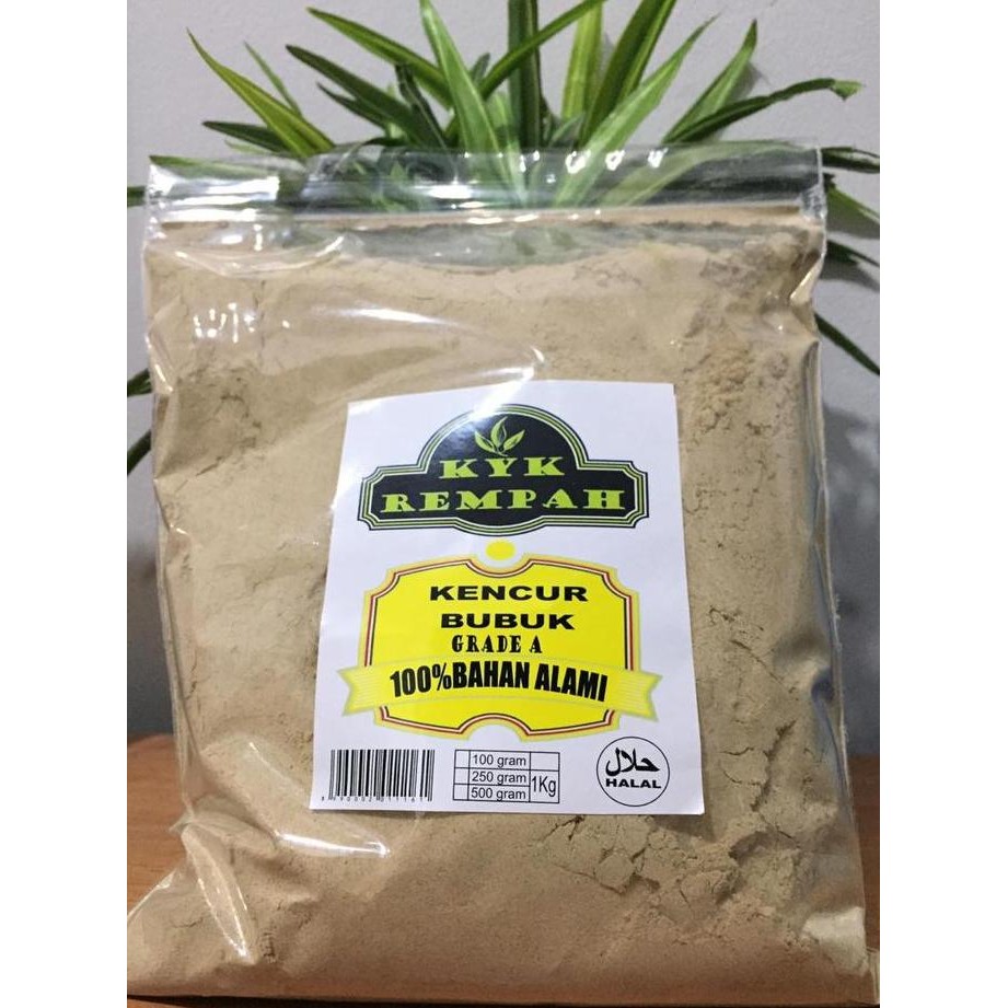 

Diskon! Kencur Bubuk 500 Gram - Kencur Murni Produksi Sendiri Non Campuran