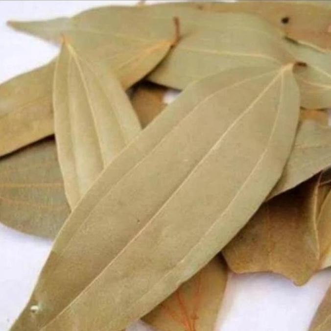 

Diskon! Daun Salam Arab 1Kg - Bay Leaf Waraq Laur Waraq Gar Import Kering