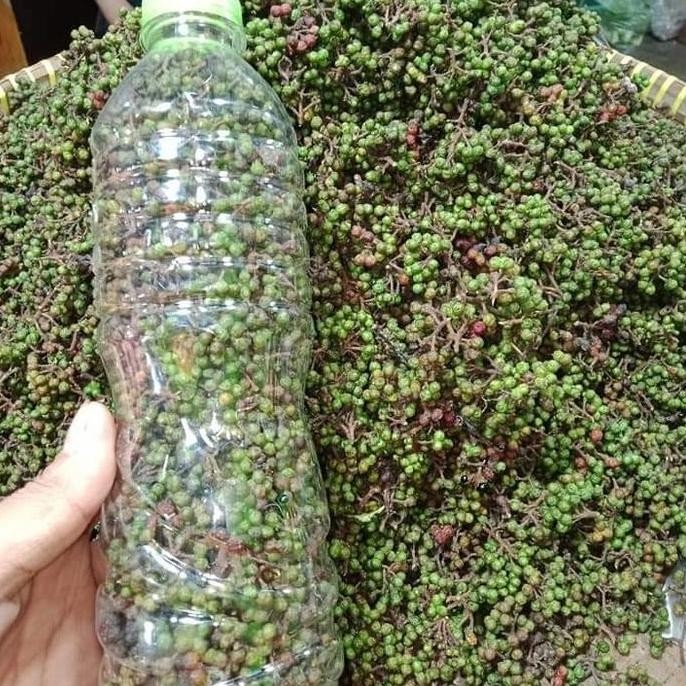 

Diskon! Andaliman Segar 250G Rempah Andalan Khas Sumatra Utara