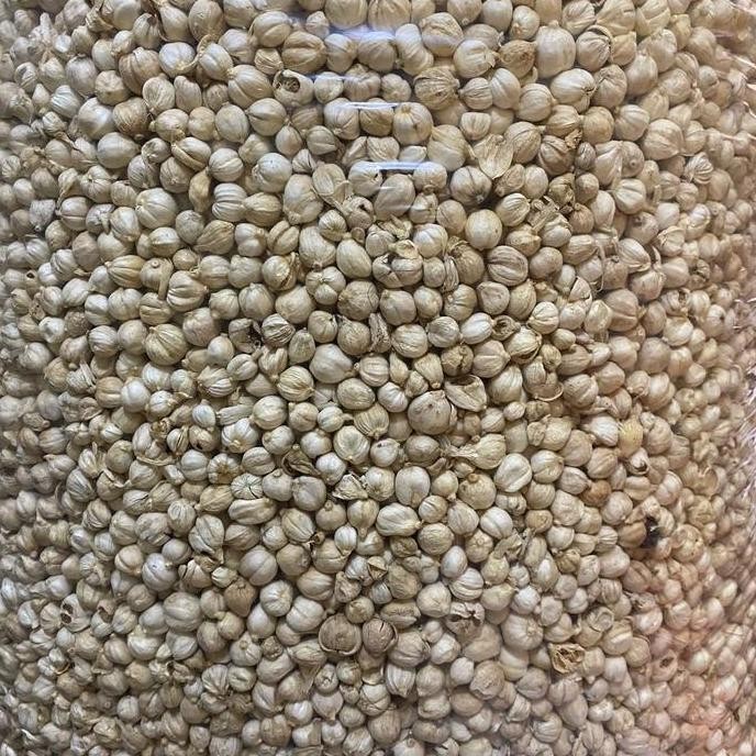 

Diskon! Kapulaga Putih Utuh 1Kg - White Cardamom Super Wangi