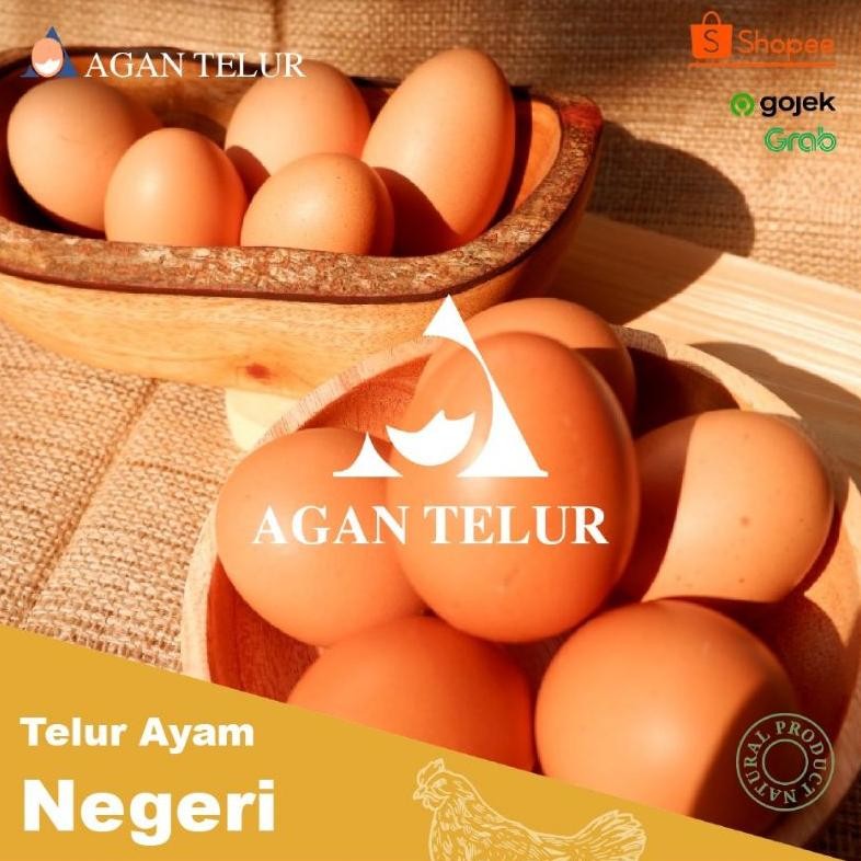 

Telur Ayam Negeri Fresh Dan Termurah Per Kg (15-16 Btr) aSt