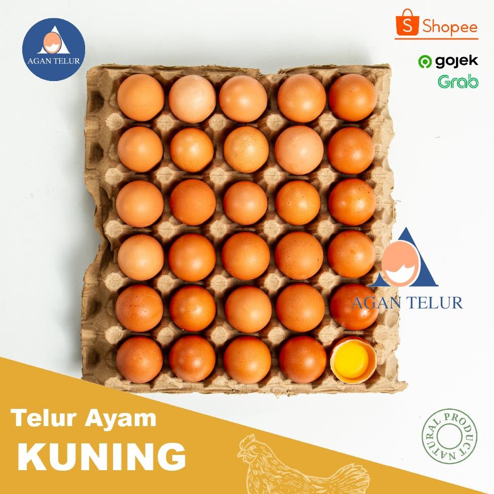 

Telur Ayam Negeri PREMIUM - 30 Pcs / Tray Grade A Fresh Bersih Kualitas Terbaik aSt