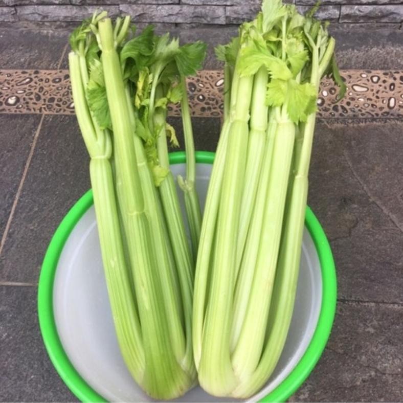 

celery stick China 1kg import aSt