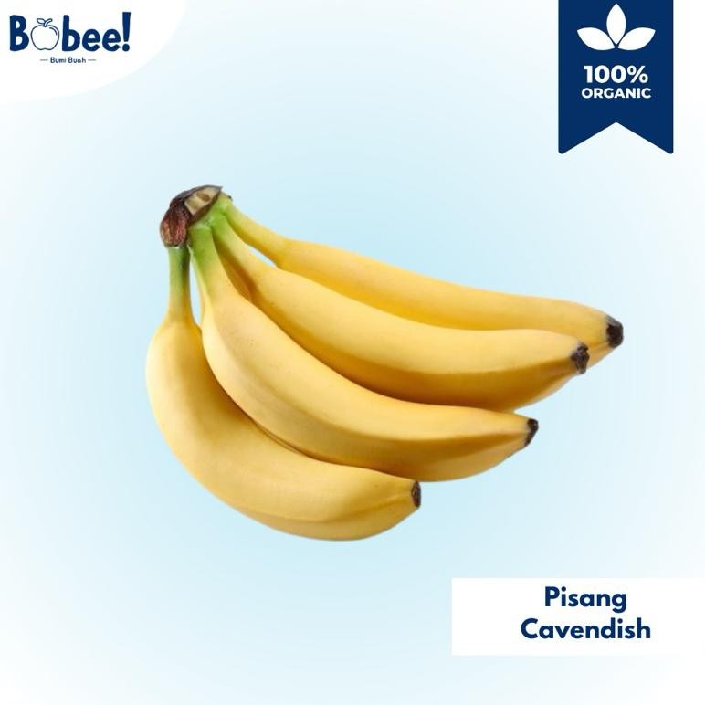 

Pisang Cavendish Sunpride 1 Sisir (isi 4-5) Super Fresh & Premium | Bobee.official - (Instant/Sameday) aSt