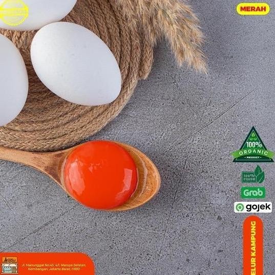 

Telur Ayam Kampung Merah 30 Butir aSt