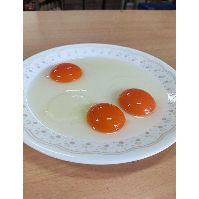 

Telur OMEGA 30 Butir aSt