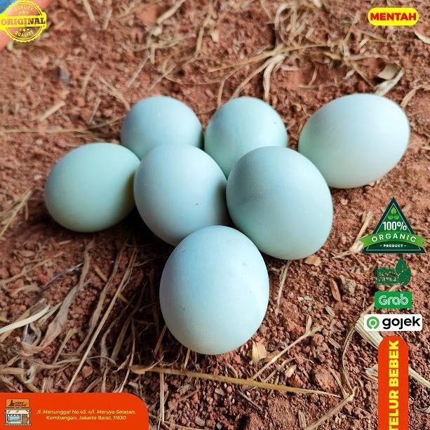 

Telur Bebek Mentah 15 Butir aSt