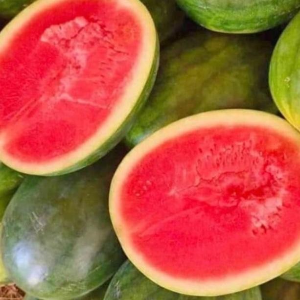 BUAH SEMANGKA NON BIJI JUMBO aSt