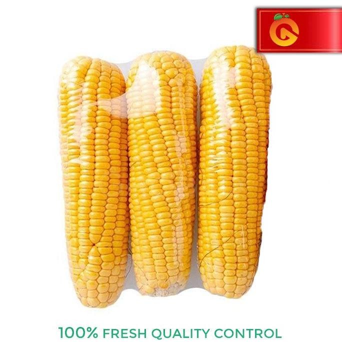 

PROOMOO!! JAGUNG KUPAS 3 PCS aSt