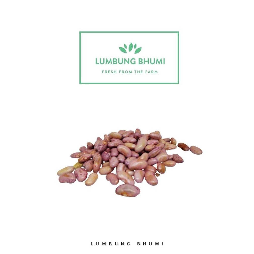 

Lumbung Bhumi - Kacang Merah Basah 500 Gr ( Sayur Curah ) aSt
