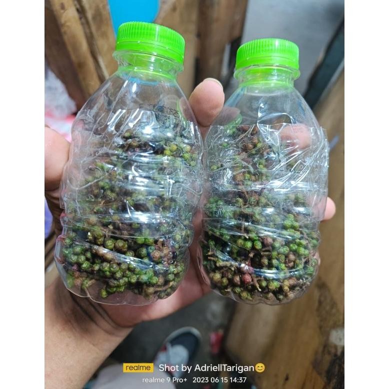 

Andaliman Segar 50gram Kualitas Terbaik aSt