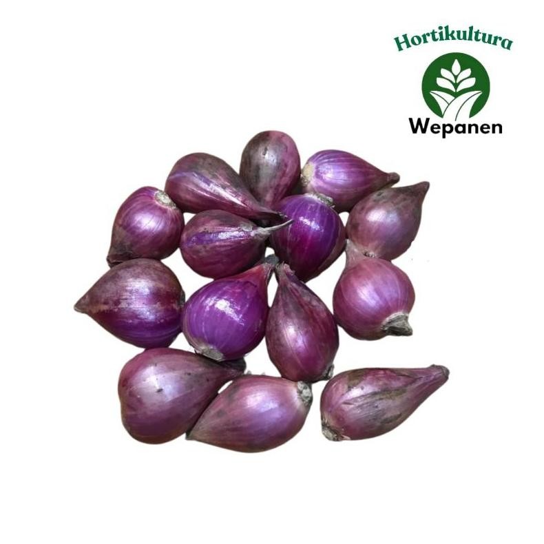 

Bawang Merah Brebes Super 1 Kg aSt