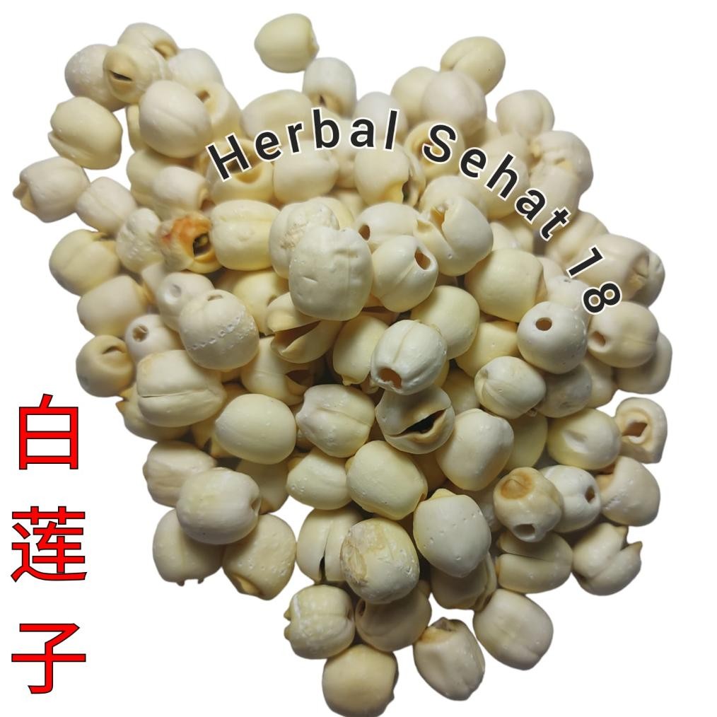 

Bai Lian Zi Lian Zi - Biji Teratai - Lotus Seed Semen Nelumbinis Nucifera aSt