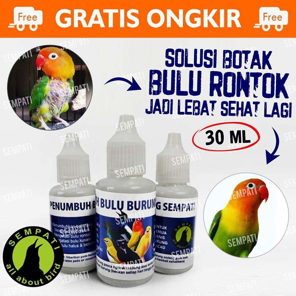 SEMPATI Obat Penumbuh Bulu Burung Sempati Obat Burung Bulu Rontok Patah Mabung Ngurak Moulting Lama 